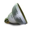 12W LED PAR30 Bulb, Base:E26